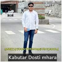 Kabutar Dosti mhara