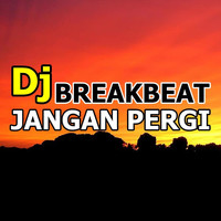 DJ Breakbeat Jangan Pergi