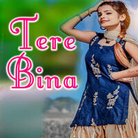 TERE BINA