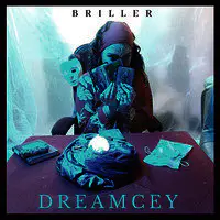 Briller