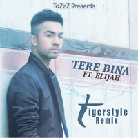 Tere Bina (Tigerstyle Remix)
