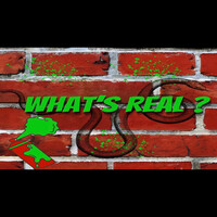 What’s Real?
