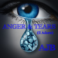 Anger and Tears (Il Adore)