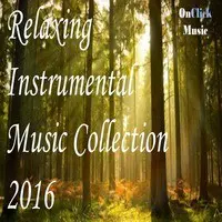 Relaxing Instrumental Music Collection 2016