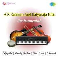 Instrumental A R Rahman And Ilaiyaraja Hits