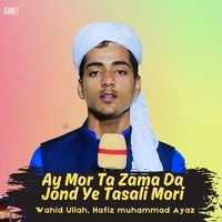 Ay Mor Ta Zama Da Jond Ye Tasali Mori