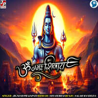 Om Namah Shivay