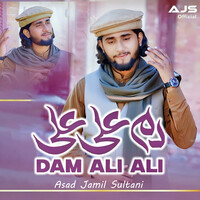 Dam Ali Ali