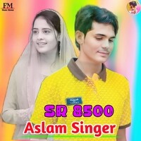 Aslam Singer SR 8500