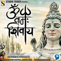 Om Namah Shivay