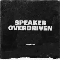 Speaker Overdriven