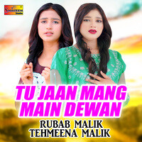 Tu Jaan Mang Main Dewan