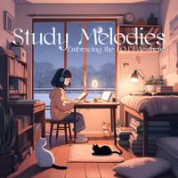 Study Melodies, Embracing the Lo-Fi Aesthetic