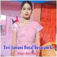 Teri Jawani botal besram ki