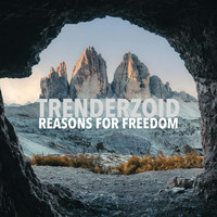 Reasons for Freedom