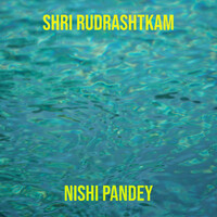 Shri Rudrashtkam