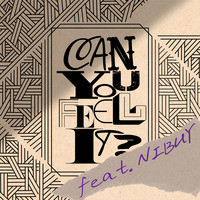 CAN YOU FEEL IT? (feat. NIBUY)