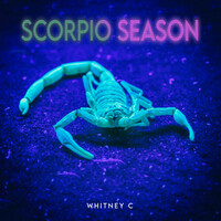 Scorpio Season