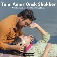 Tumi Amar Onek Shokher (Lo-Fi)