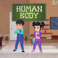 Human Body