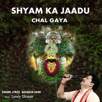 Shyam Ka Jaadu Chal Gaya