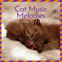 Cat Music Melodies - Anti Anxiety Lullabies