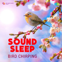 Sound Sleep - Birds Chirping