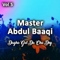 Dagha Gul Da Cha Dey, Vol. 5