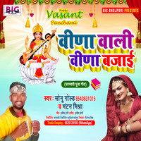 Veena Wali Veena Bajai