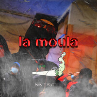 La moula