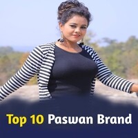 Top 10 Paswan Brand