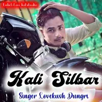 Kali Silbar