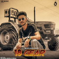 18 Gear