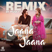 Jaana Mere Jaana (Remix)