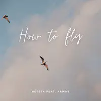 How to Fly