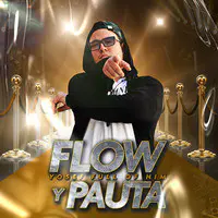 Flow Y Pauta