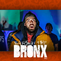 Bars in the Bronx 23