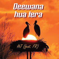 Deewana hua tera (feat. FR)