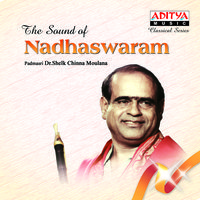 The Sound Of Nadhaswaram