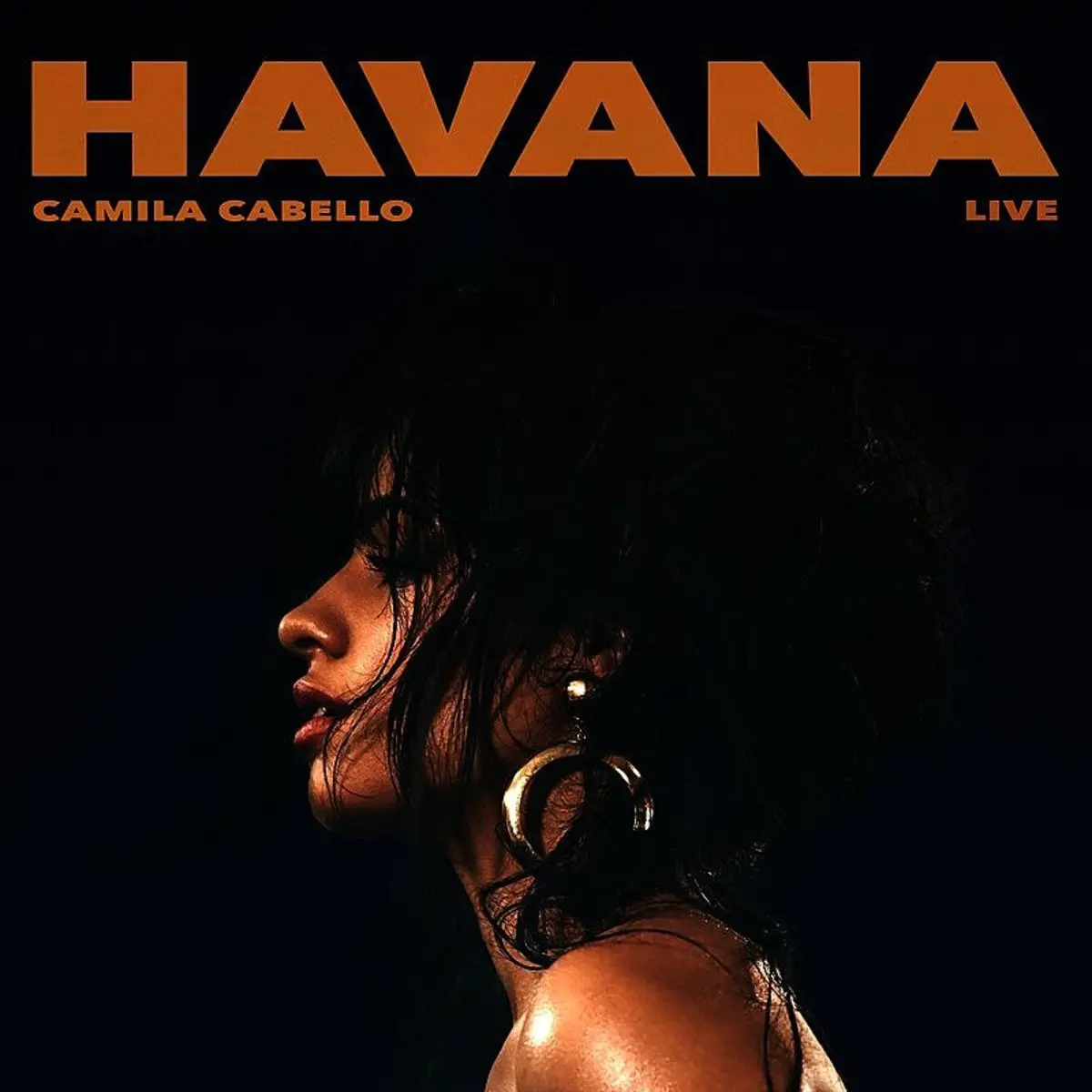 Download Mp3 Havana Camila Cabello Roblox Id Code 2018 Free