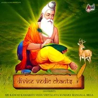 Divine Vedic Chants