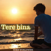 Tere bina