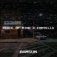 Peace of Mind X Emmyella