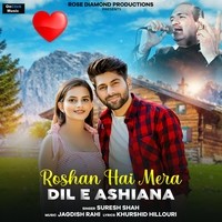 Roshan Hai Mera Dil E Ashiana
