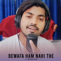 Bewafa Ham Nahi The