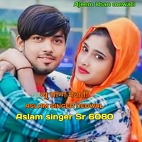 Aslam singer Sr 6080