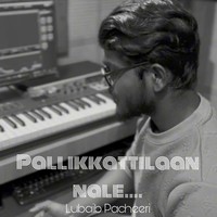 Pallikkattilaan nale