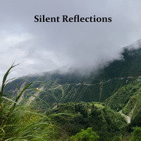 Silent Reflections