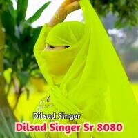 Dilsad Singer Sr 8080