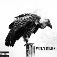 Vultures